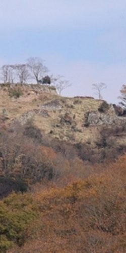 利神城跡と平福